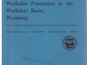 Stratigraphy of the Washakie Formation in the Washakie Basin, Wyoming by Henry W. Roehler (Bulletin 1369)