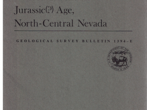 The Auld Land Syne Group, of Late Triassic and Jurassic(?) Age, North-Central Nevada by D. B. Burke and N.J. Silberling (Bulletin 1394-E)