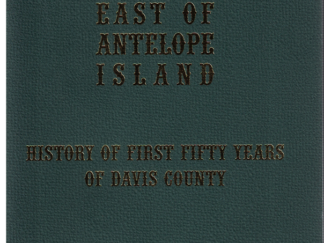 Index For East of Antelope Island – 2004