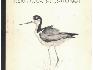 The Great Salt Lake Biotic System – by John E. Phelps, Director