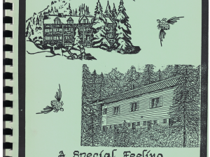 Brighton: A Special Feeling That Stays In Your Heart Forever by Alice Advalson