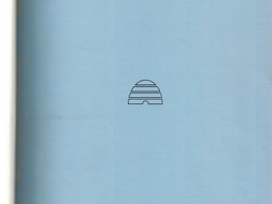 Utah in Demographic Perspective: Regional and National Contrasts ~ edited by Howard M. Bahr 1981