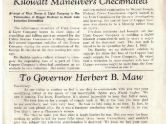 The Searchlight – A Specialist in Neglected Truth (Assorted Set of 56)