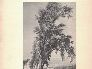 Peter & Sarah Farr LeCheminant and the 1854 Mormon Emigration from Europe to the Great Salt Lake Valley