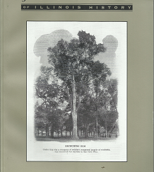 Journal of Illinois History Summer 2009 (Vol. 12 No. 2)