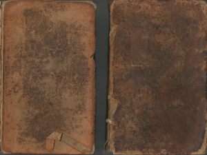 The Life and Pontificate of Leo the Tenth Vols. 2 and 3 by William Roscoe (1806)