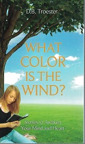 What Color Is The Wind? ~ D. B. Troester (Stories to Awaken Your Heart) ~ 9780971710405