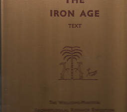 Lachish III – The Iron Age: Text