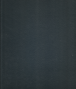 Mountainland; Our Pioneers; The Daily Herald; March 16, 1997