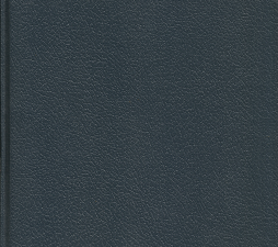 History of mesquite, Nevada: 1800-1932(1992) – Dorothy D.F. Thurston