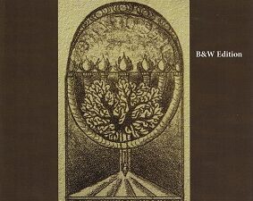 Temple Themes in the Book of Moses ~ Jeffrey M. Bradshaw ~ Softbound ~ ISBN: 9781453742129