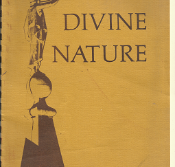 Divine Nature: Springville Utah Stake