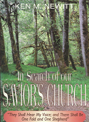 In Search of Our Savior's Church - Ken m. Newitt - 1777153731