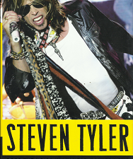 Steven Tyler: A Rock ‘n’ Roll Memoir – David Dalton – 9780061767890