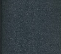 Gospel Literacy in Guatemala, 1995 – Amy L. Andrus