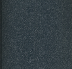 Gospel Literacy in Guatemala, 1995 - Amy L. Andrus