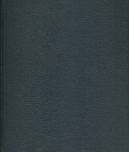 Gospel Literacy in Guatemala, 1995 – Amy L. Andrus