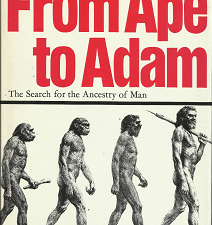 From Ape to Adam: The Search for the Ancestry of Man – Herbert Wendt