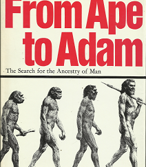 From Ape to Adam: The Search for the Ancestry of Man – Herbert Wendt