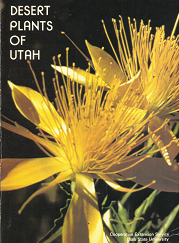 Desert Plants of Utah ~ by Bernice A. Andersen