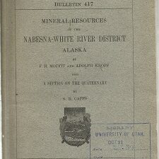 Mineral Resources of the Nebesna-White River District Alaska