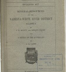 Mineral Resources of the Nebesna-White River District Alaska