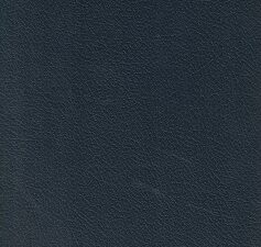 Reprint: Thelyphthora; or A Treatise on Female Ruin in its Causes, Effects, Consequences, Prevention, and Remedy