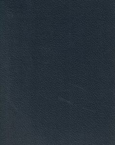 Reprint: Thelyphthora; or A Treatise on Female Ruin in its Causes, Effects, Consequences, Prevention, and Remedy