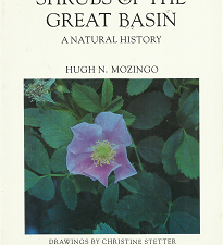 Shrubs of the Great Basin – Hugh N. Mozingo – 0874171121