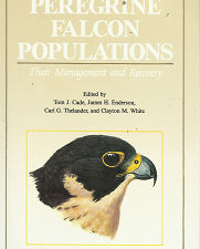Peregrine Falcon Populations – Tom J. Cade, James H. Enderson, Carl G. Thelander, Clayton M. White – 0961983906