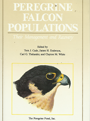 Peregrine Falcon Populations – Tom J. Cade, James H. Enderson, Carl G. Thelander, Clayton M. White – 0961983906