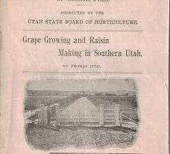1904 ~ Grape Growing & Raisin Making in Southern Utah ~ Bulletin No.1 ~ Southern Utah Experiment Farm ~ Thomas Judd