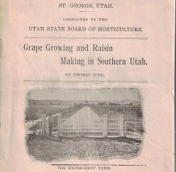 1904 ~ Grape Growing & Raisin Making in Southern Utah ~ Bulletin No.1 ~ Southern Utah Experiment Farm ~ Thomas Judd