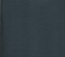 Underground Mormon Polygamy, 1981 – Kimberly Jensen James