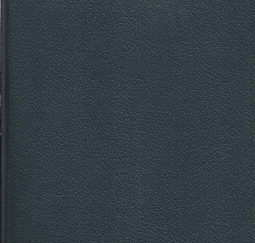 Underground Mormon Polygamy, 1981 – Kimberly Jensen James