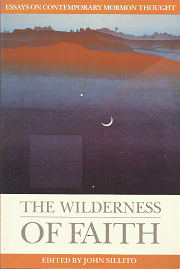 The Wilderness of faith – John Sillito – 1560850094