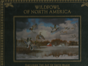 Wildfowl of North America – David Maass & Michael McIntosh