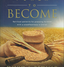 Power to Become – David A. Bednar – 9781609078591