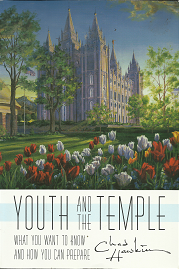 Youth and the Temple – What You Want To Know And How You Can Prepare — Chad S. Hawkins — 1570088462 / 9781570088469