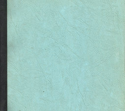 Jewish Intermarriage – Amy E. Finkle & Marcia S. Ortega