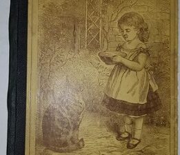 1887 ~ Children’s Picture Album and Story Book ~ Juvenile Instructor Office