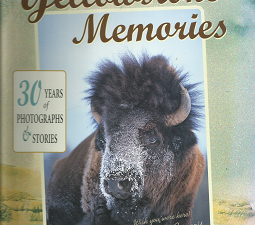 Yellowstone Memories (Signed) (2005) ~ by Michael H. Francis