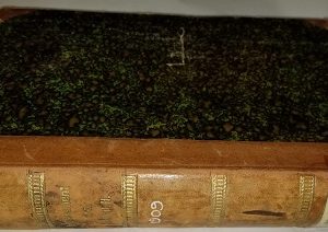 1909 ~ Improvement Era ~ Volume Twelve ~ May 1909 – October 1909