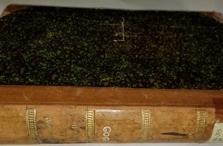 1909 ~ Improvement Era ~ Volume Twelve ~ May 1909 – October 1909