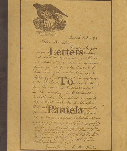 Letters to Pamela: A Collection of Family Letters – Harold J. Sorters & Dorothy L. Soeters