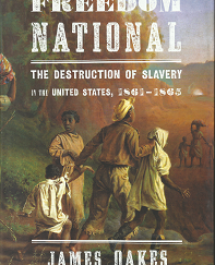 Freedom National: The Destruction of Slavery – James Dakes – 9780393065312