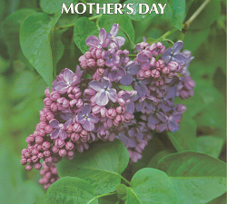 Ideals Mother’s Day – Patricia Pingry – 0824910346350