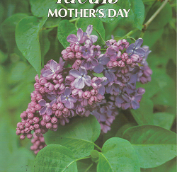Ideals Mother's Day - Patricia Pingry - 0824910346350