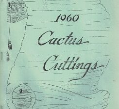 1960 ~ Cactus Cuttings