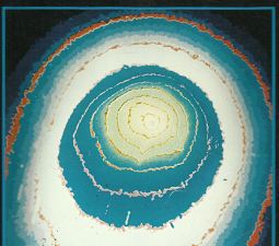 Modern Observation Techniques For Comets: October 1, 1981